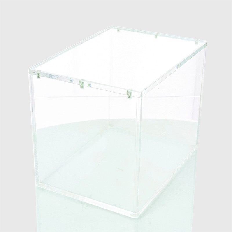 Phoenix Shield Acrylbox für Pokémon 8 Mini Tin Display – UV99