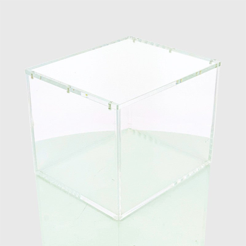Phoenix Shield Acrylbox für Pokémon 10 Mini Tin Display – UV99