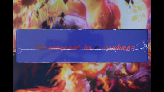 The Moment Love Awakens Waifu Booster – Anime Fan-Sammelkarten